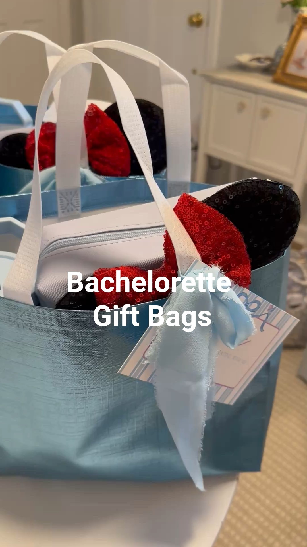everything in my gift bags for my bachelorette 🐭👑🏰

#LTKParties #LTKTravel #LTKWedding