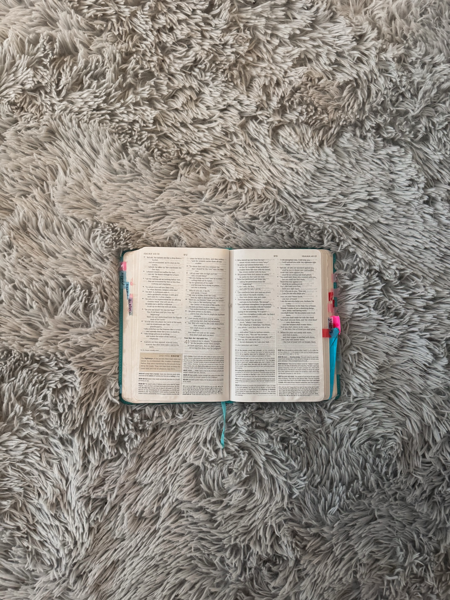 The Bible I have & use daily :) similars linked!

#LTKGiftGuide