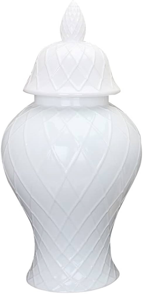 Slow time White Ceramic Ginger Jar with Lid, Diamond Pattern Geometric Ginger Jar, Decorative Tem... | Amazon (US)
