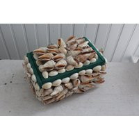 Vintage Seashell Hand Crafted Whatnot Jewelry Trinket Box - Shell W/Green Felt Interior 1970S Tropical Beach Boho Decor | Etsy (US)