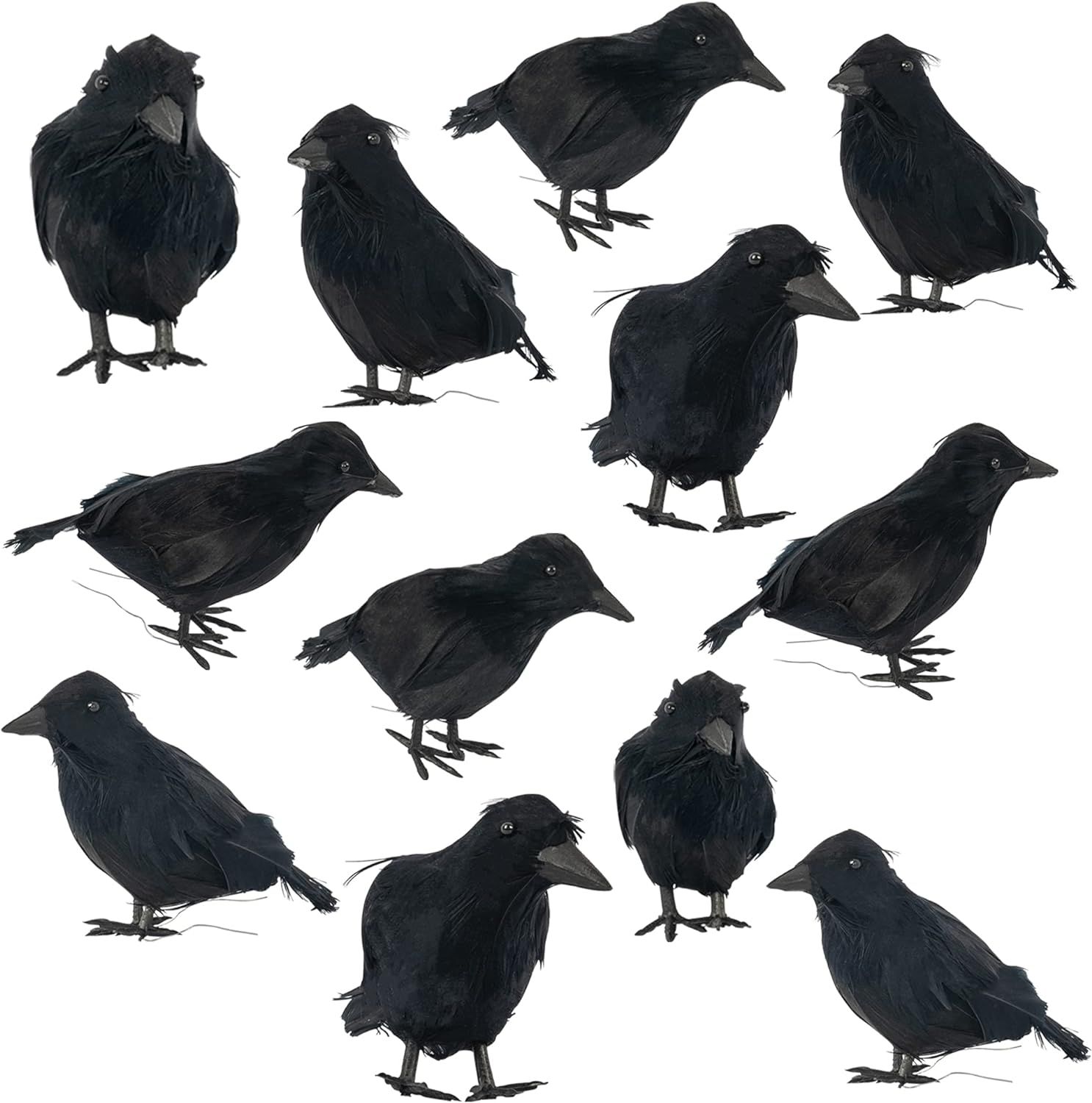 FUNPENY Halloween Black Feathered Crows, Lifelik Halloween Decoration Birds with Real Feather (12... | Amazon (US)