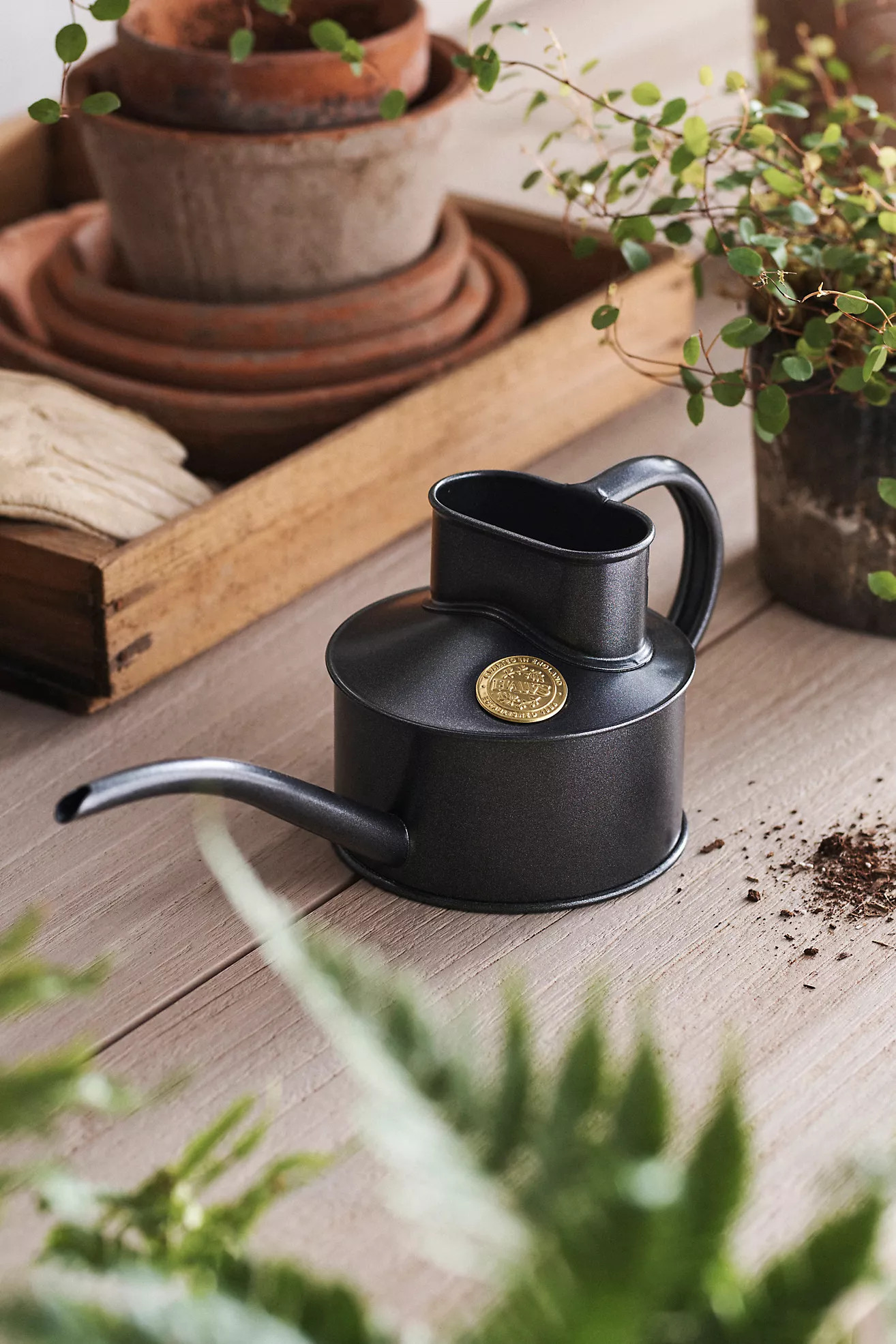 Haws Mini Watering Can | Anthropologie (US)