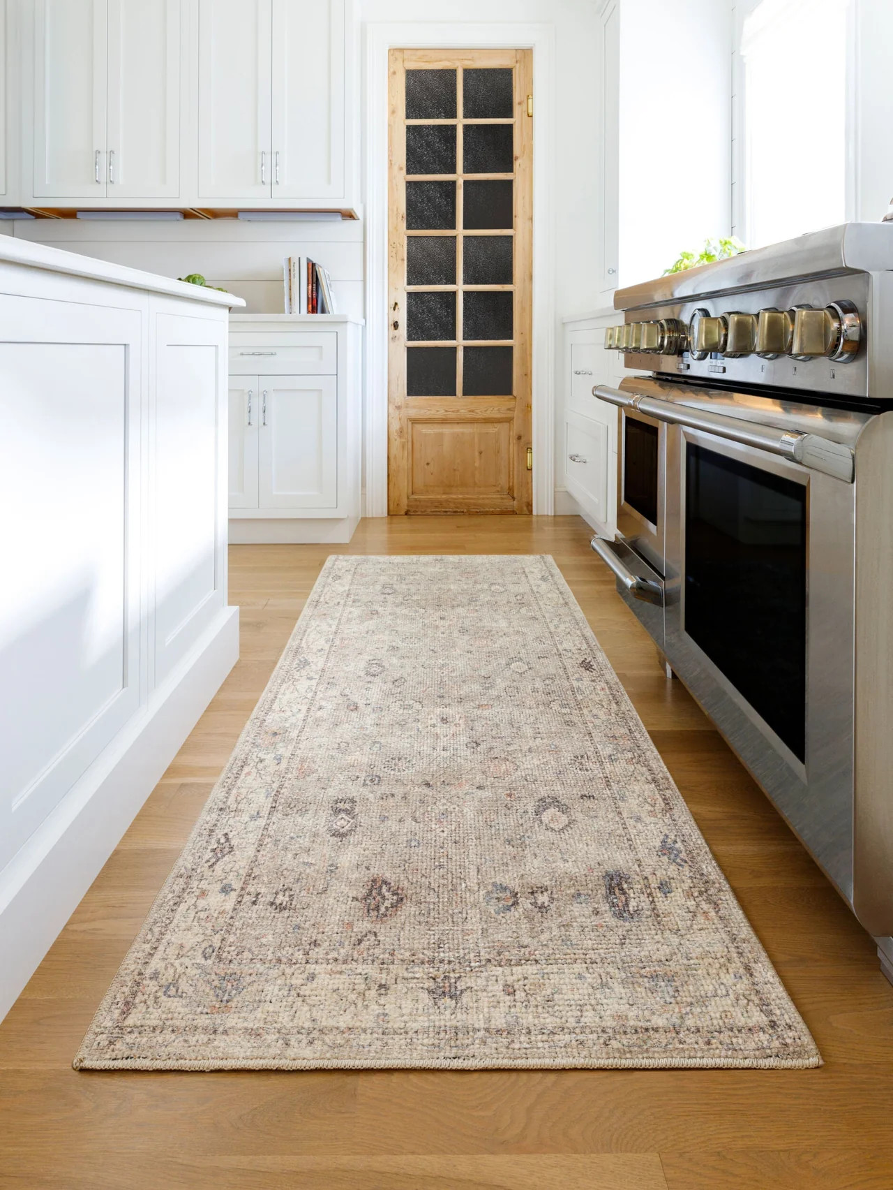 Davina III Rug | Becki Owens Living