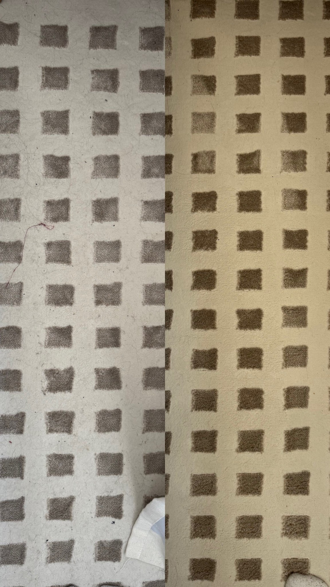 This little tool works better than any vacuum I’ve tried 😍

#LTKSaleAlert #LTKFamily #LTKPets