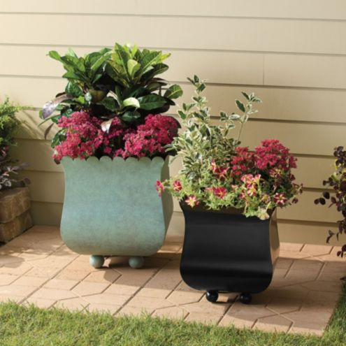 Scallop Planter | Ballard Designs, Inc.
