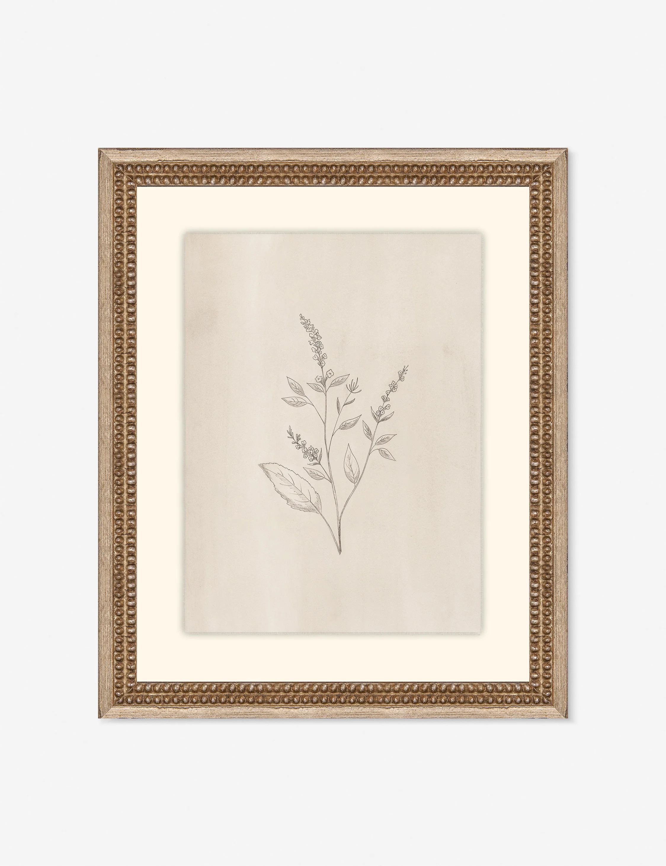 Elegant Botanical VI Wall Art | Lulu and Georgia 