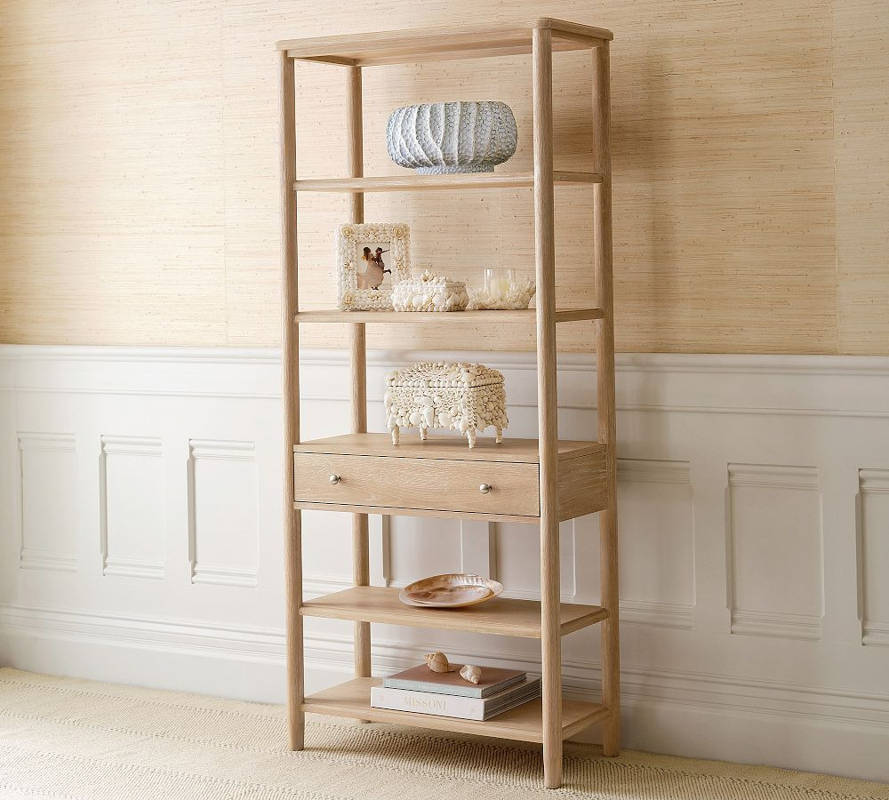 Polished Decorative Shell | Pottery Barn (US)