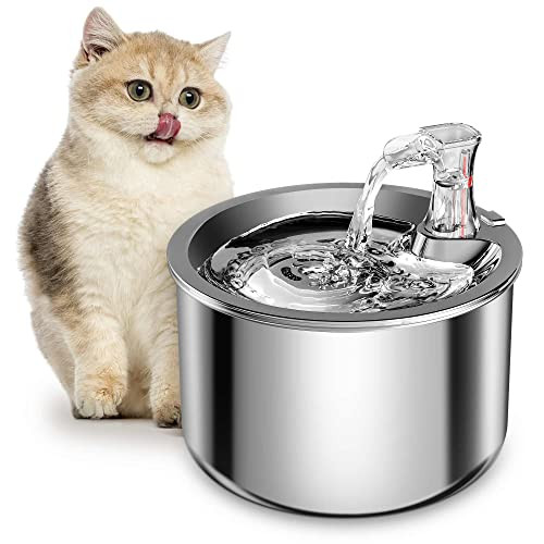 Homtyler Cat Water Fountain, Stainless Steel Inside Ultra-Quiet Pump, 2L/67oz Automatic Dog Dispenser Water Bowl, Multiple Pets Water Fountain | Amazon (US)