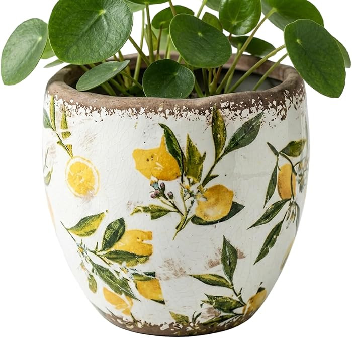 Tuscan Planter, Tuscan Ceramic Planter - Yellow Ceramic Flower Pot with Vintage Crackle Glaze for... | Amazon (CA)