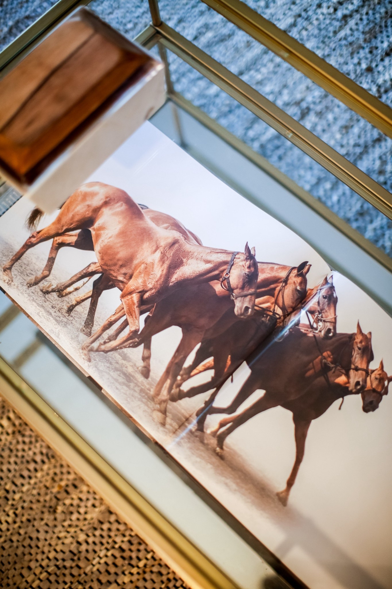 A beautiful horse coffee table book filled with photos. 🐴🤍

#LTKHome #LTKSaleAlert