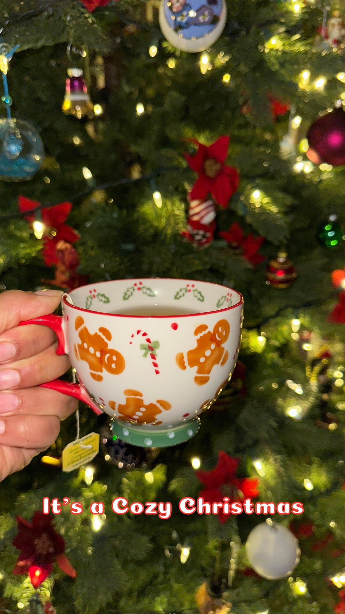 Love this cute gingerbread cookie ceramic mug ✨🥰 perfect for cozy Christmas days

#LTKGiftGuide #LTKHoliday #LTKSeasonal