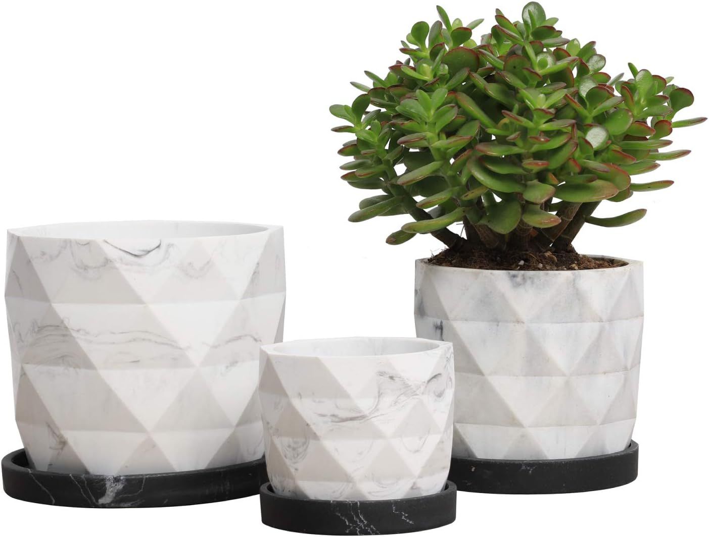 LKKL Modern Marble Flower Pot Set of 3, Succulent Pot Planters, Indoor Marble Plant Pot with Drai... | Amazon (US)
