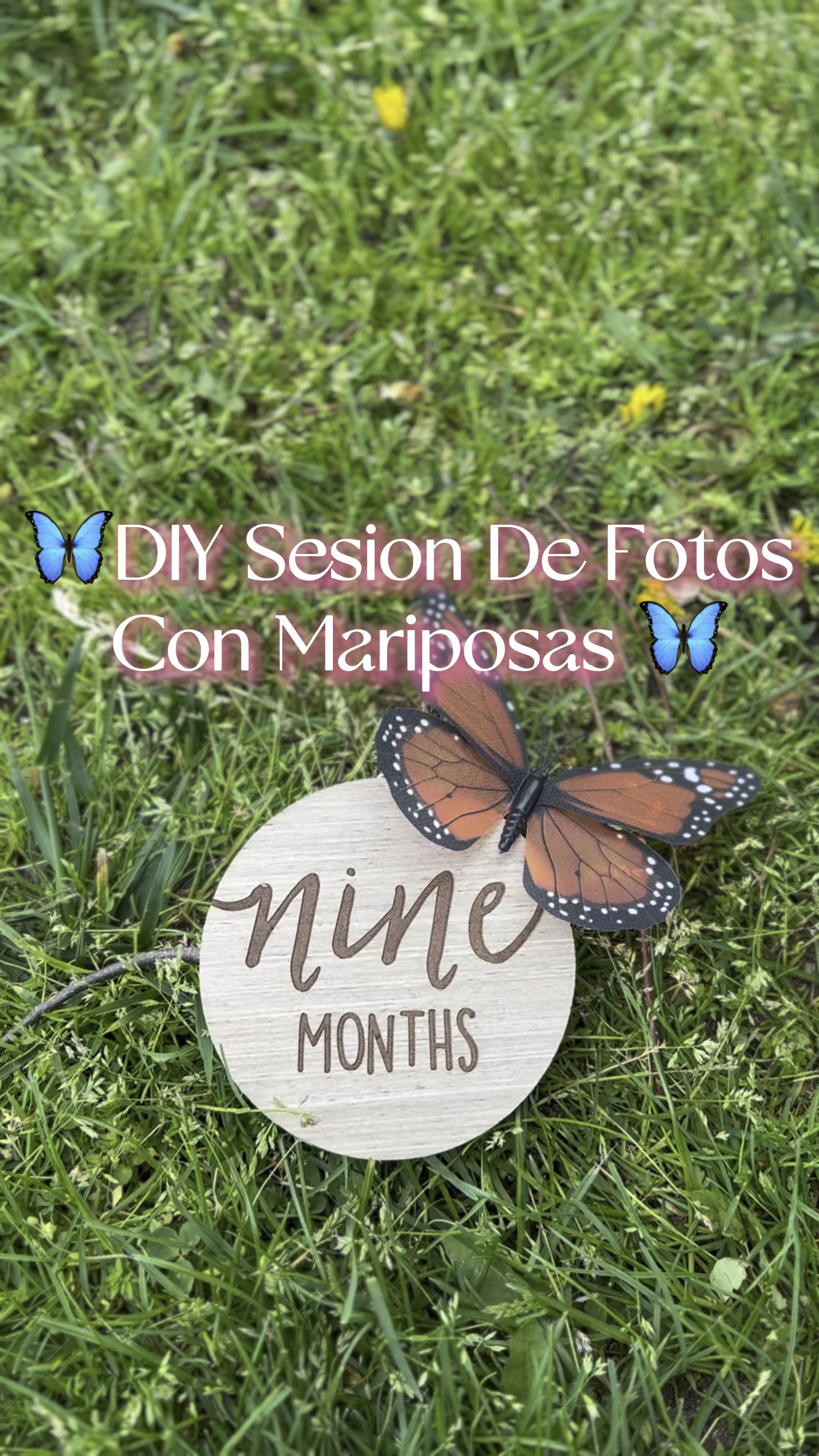 The most beautiful DIY photoshoot idea for baby monthly milestone! 

#LTKbaby #LTKbump #LTKfamily