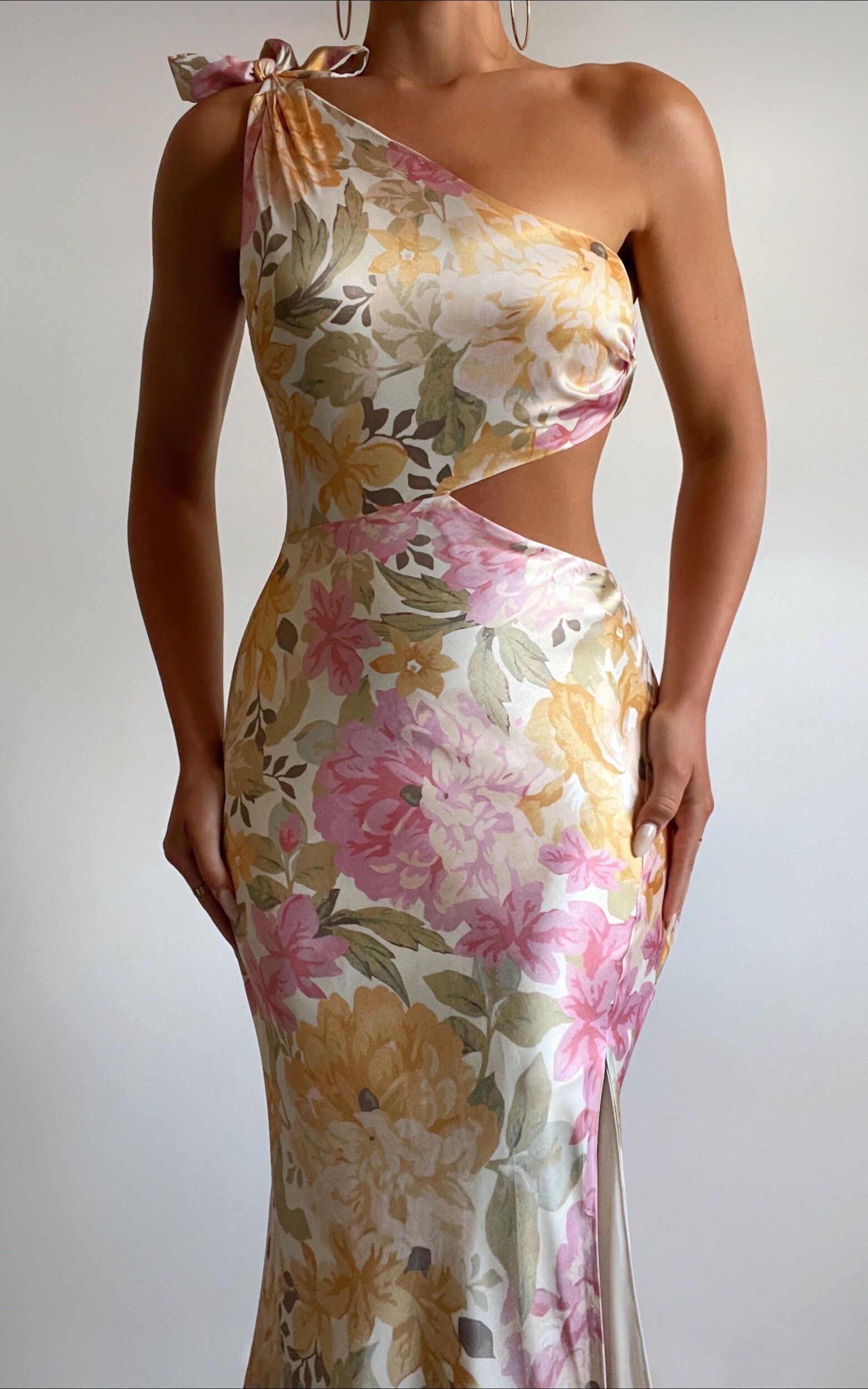 Glaucus Dress in Elegant Rose | Showpo (US, UK & Europe)