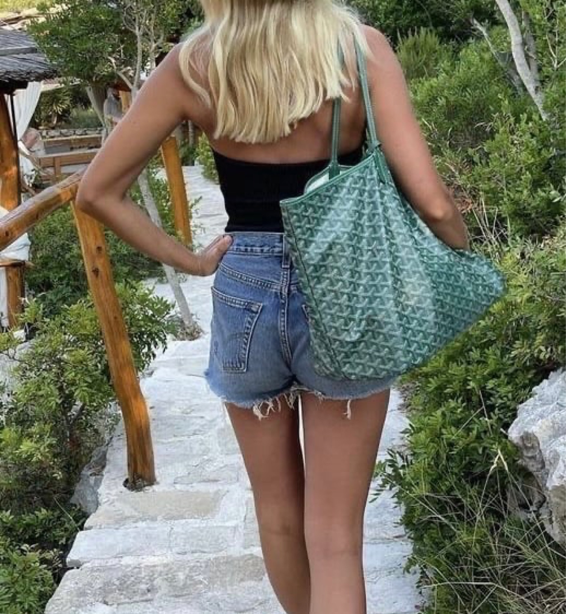 Goyard tote 

#LTKSale #LTKaustralia #LTKitbag