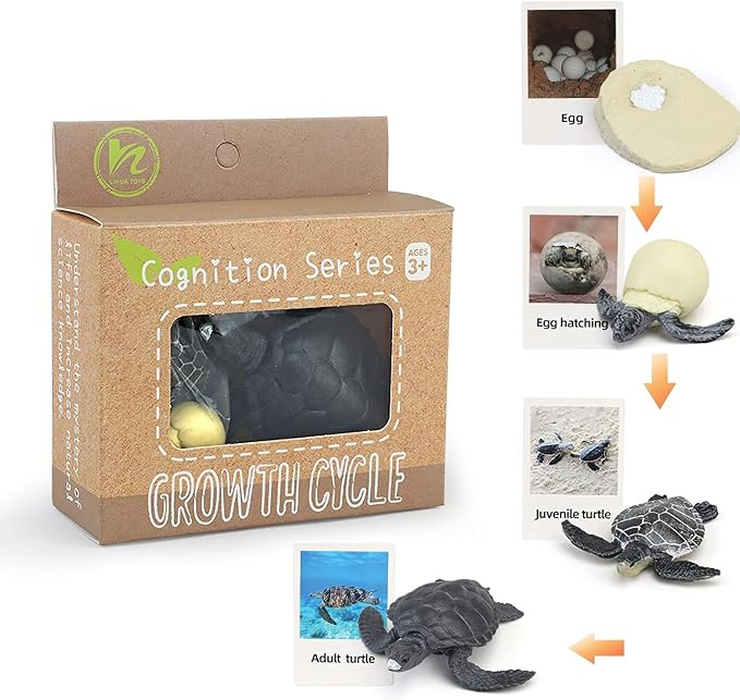 Montessori Life Cycle Animal Figures with Flash Cards, Realistic Animal Figurines Toy, Educationa... | Amazon (US)