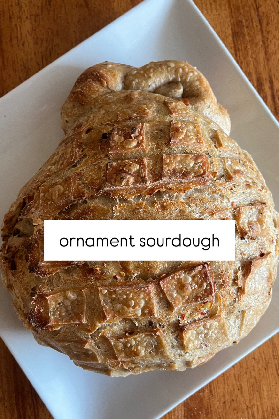 ornament sourdough for christmas



#LTKHoliday #LTKSeasonal #LTKHome