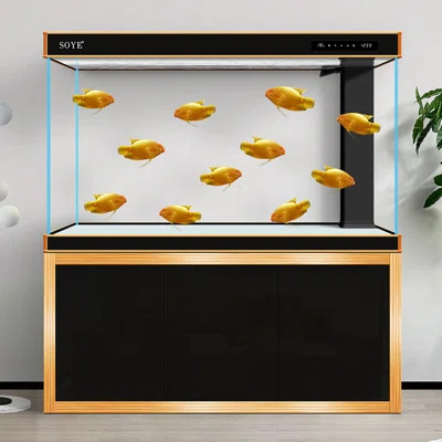 Manufactured Wood Modern Eco Aquarium Tank | Wayfair North America