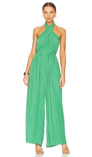 Damia Jumpsuit in Green | Revolve Clothing (Global)