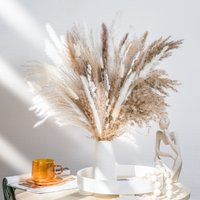 Pampas Grass - 17Inch 92Pc, Natural Dried Bouquet, Dried Flower, Boho Decor, Wedding Floral Arrangem | Etsy (US)