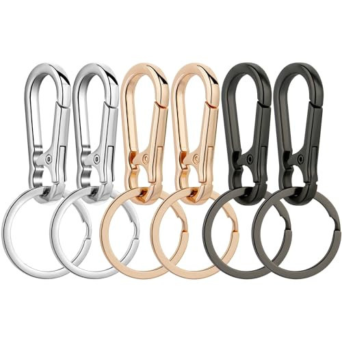 Wikavanli Metal Keychains Keyring Key Chain Ring Clip Holder Organizer for Home Car Keys Key Finder Women Men (6, Gold Silver Black) | Amazon (US)