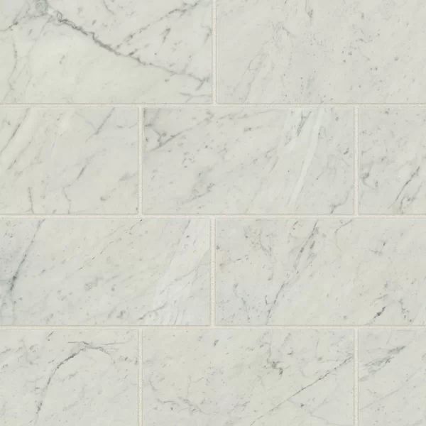 Bianco Carrara Classic 2.0 12'' W x 24'' L Porcelain Singular Tile | Wayfair North America