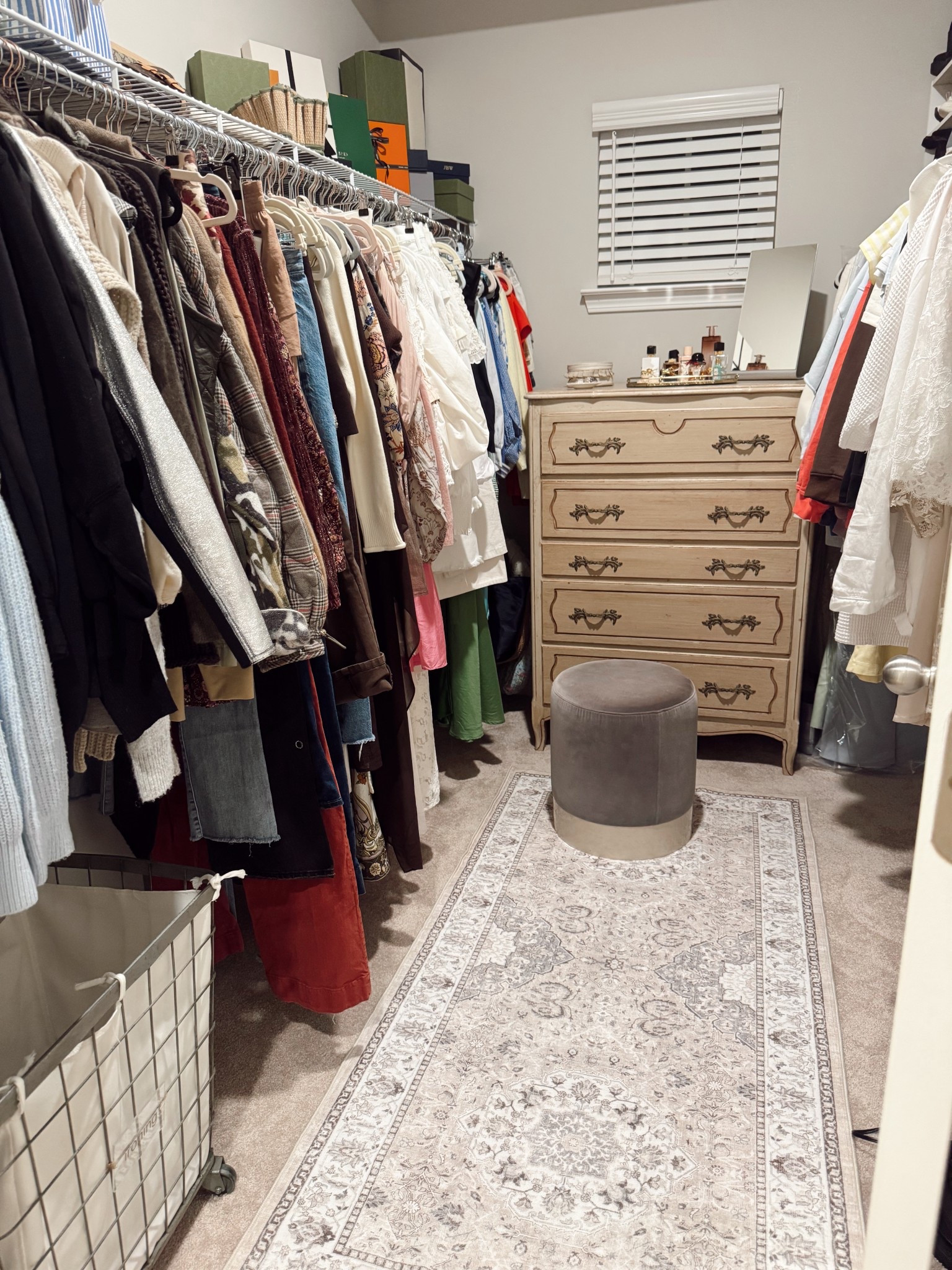 3x6 rug I’m obsessed!

#LTKHome #LTKgrwm #LTKdayinmylife