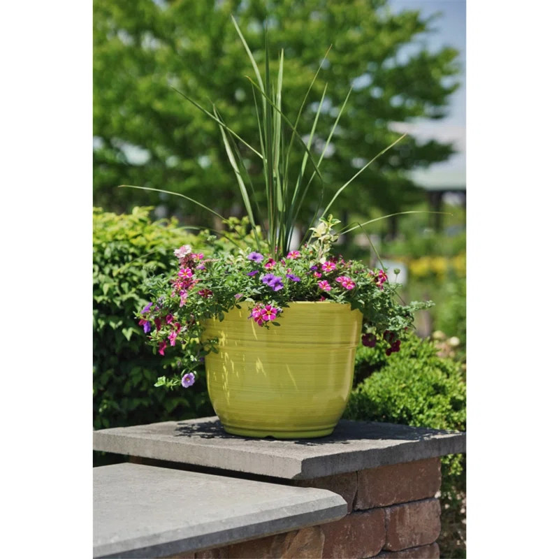 Maisonette Planter | Wayfair North America