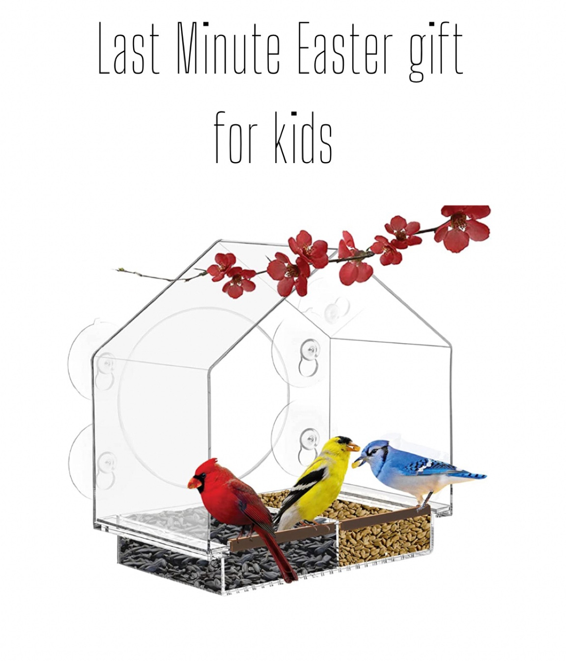Window bird feeder! Such a fun gift for kids or adults 

#LTKGiftGuide #LTKfamily #LTKFind