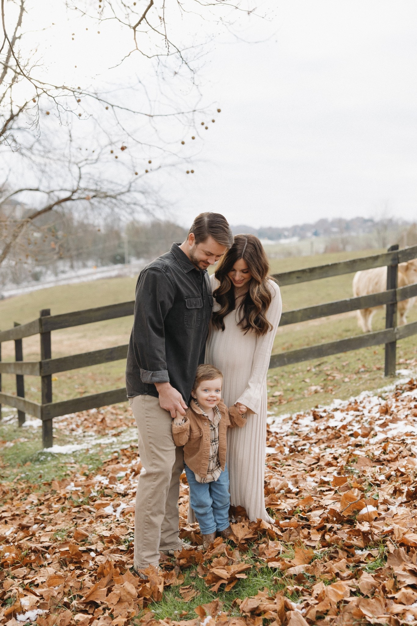 3rd trimester bump friendly dresses!

Fall family photos, espresso brown, stripes, pleated dresses, equine horse girl aesthetic

#LTKBump #LTKFamily #LTKHoliday