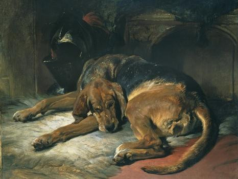 Sleeping Bloodhound | Art.com