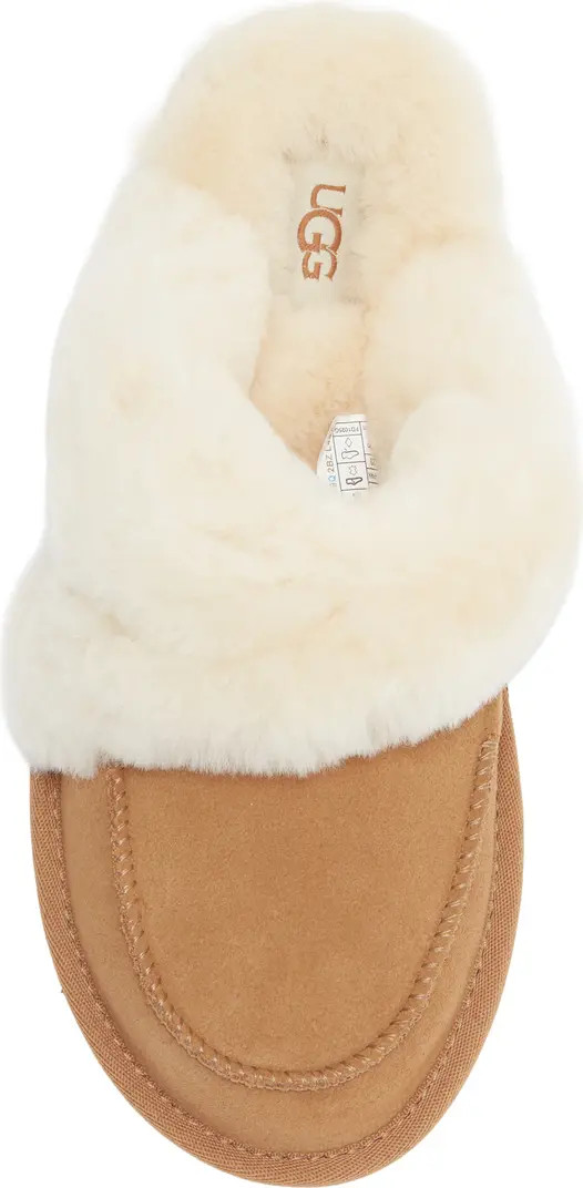 Loria Genuine Shearling Lined Slipper (Women) | Nordstrom Rack