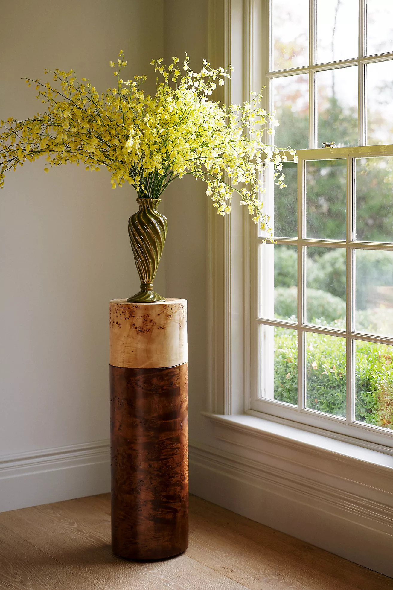 Holland Burl Wood Plinth | Anthropologie (US)