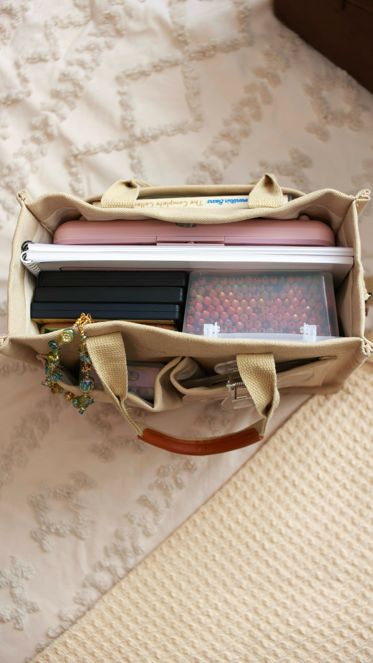 My analog bag 💼 #analog #cozy #hobbies 