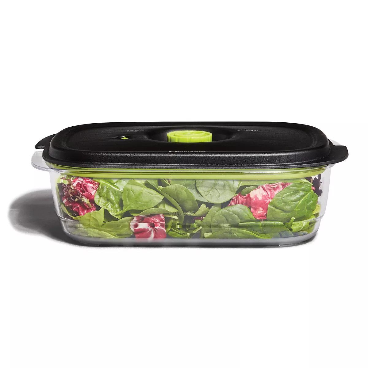 FoodSaver Preserve & Marinate 10-Cup Vacuum Container | Kohl's