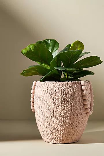 Mesa Pot | Anthropologie (US)