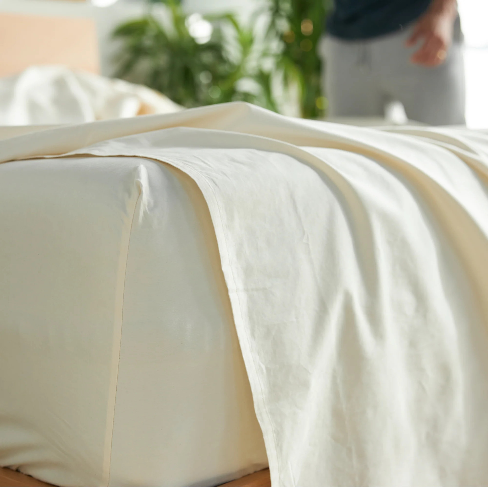 Percale Organic Cotton Sheets | Avocado Mattress