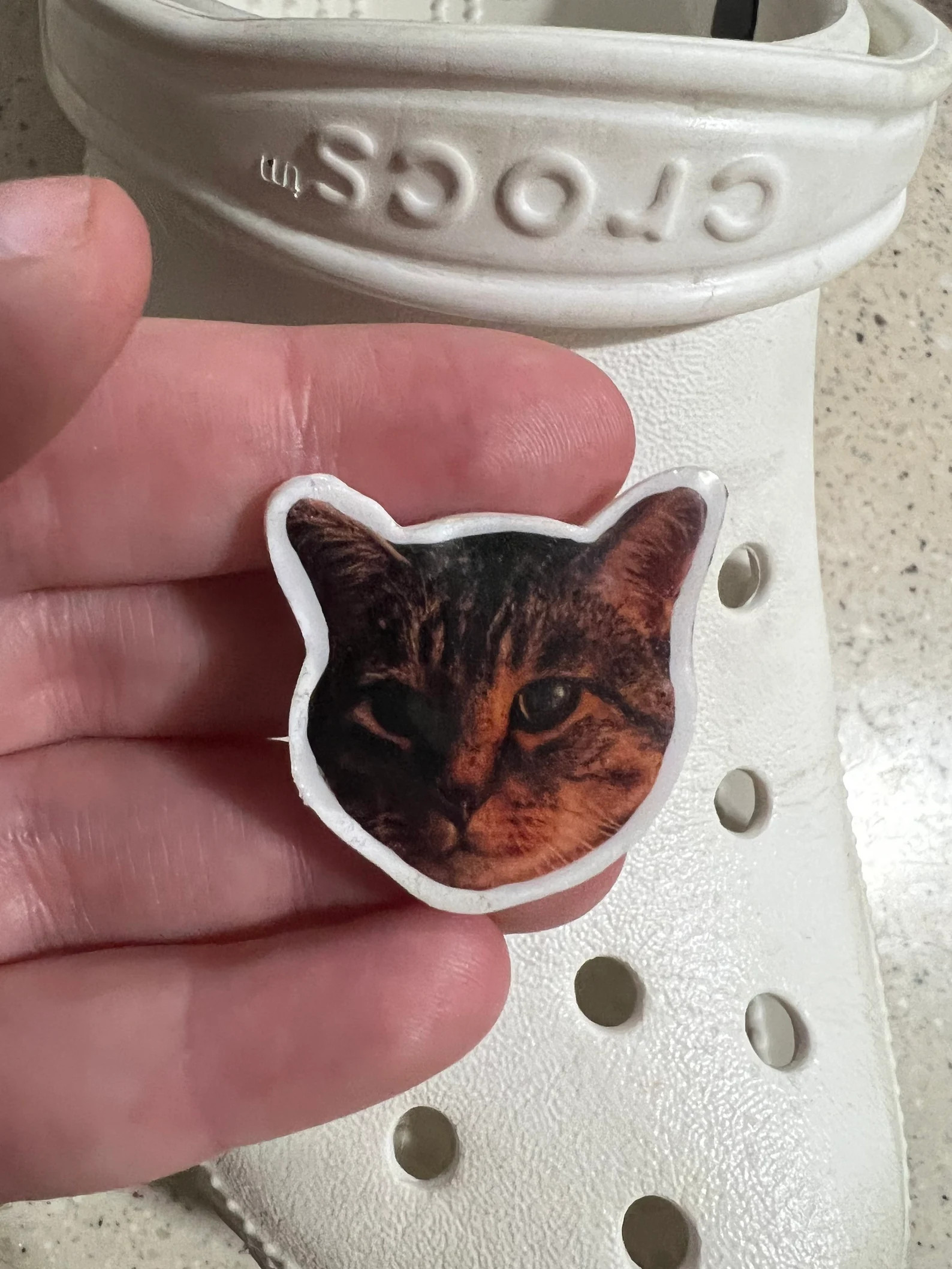 Custom Pet Croc Charm | Cat charm | Dog charm | Personalized Pet Portrait | custom croc charm | Etsy (US)