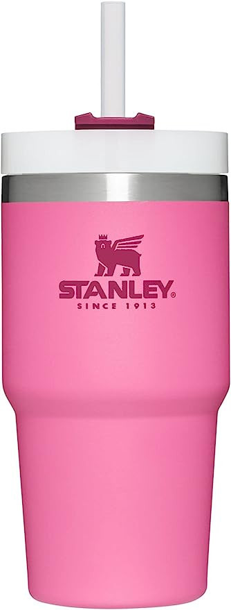 Stanley Adventure Quencher Travel Tumbler 20oz Azalea | Amazon (US)