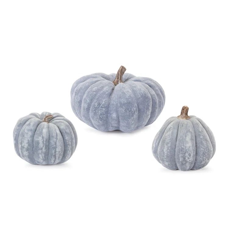 Distressed Pumpkin (Set of 3) | Wayfair North America