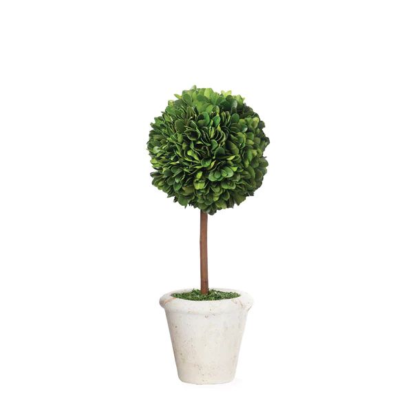 Mini Boxwood Topiary | Caitlin Wilson Design