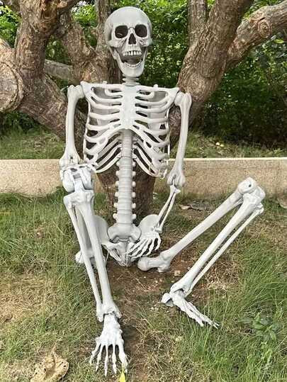 2025 Stücke Halloween Spukhaus Requisiten Menschliches Skelett Trockene Leiche Skelett Dekoratio... | SHEIN