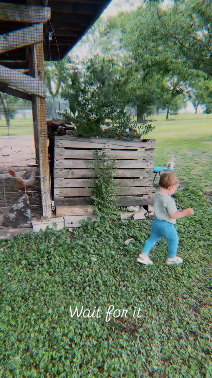 Can’t stop laughing .. meanwhile I can’t decide on a caption so here’s all I came up with 😂 let me know you’re favorite one: 

* The chickens didn’t stand a chance 😂🐓
* Free-range kids vs. free-range chickens 😆
* Farm security has officially been compromised 🐥🏃‍♀️
* Just a couple of tiny ranch hands causing chaos 🤠
* Homeschool P.E. = chasing chickens around the yard 😂
* The chickens filed a complaint after this one 🐔
* Country kids doing country kid things 🤍
* Catch me if you cannnn 🐓💨
* Raising babies and alarming chickens daily 😅
* The girls were fast… but the chickens were faster 😂
* Core memories and chicken chases 🤍
* Tiny feet, big energy, terrified chickens 😆 aaaand apologizing to our friends for their chickens being stressed out today 😅