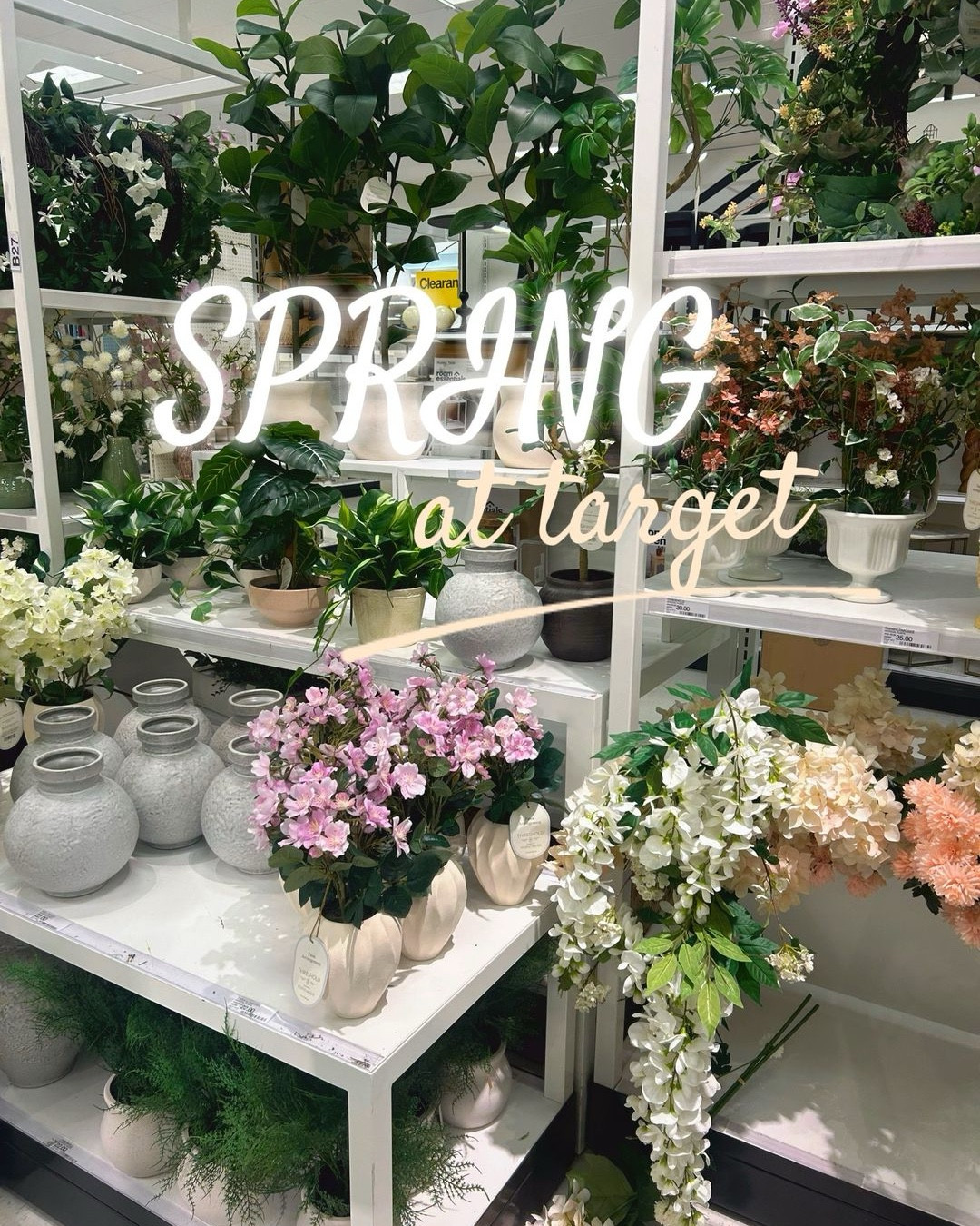 Spring has sprung at target!! 🌸🌼🪷🌺💐🌷 check out some of the adorable things that I saw today taking a gander from target. One of my favorite things were the tulip glasses, they feel very good quality and are only three dollars each. The larger stemmed glasses are five dollars each, and I think they would be so cute at an outdoor garden party! 🌼🪷🌸 ￼

#LTKSaleAlert #LTKSeasonal #LTKHome