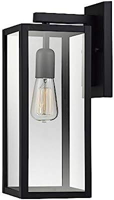 Globe Electric 44176 Bowery 1-Light Outdoor Indoor Wall Sconce, Matte Black, Clear Glass Shade, 1... | Amazon (US)