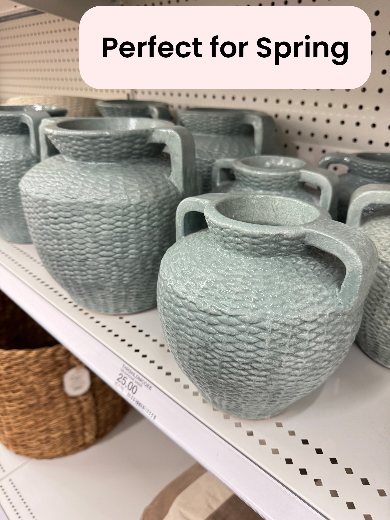 New Home Decor at Target 🎯❤️ Love these gorgeous muted teal vases!

Home decor, target, spring home, baskets, neutral decor, marble bowl, vases 

#LTKFindsUnder100 #LTKFindsUnder50 #LTKHome