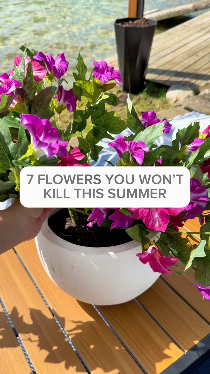 7 Maintenance free Flowers you will not kill this summer | Amazon (US)