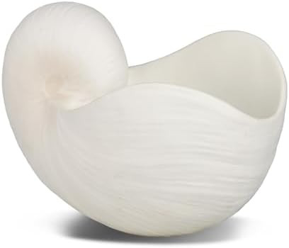 Amazon.com : Braxio Modern Home Decor Sea Shell - Beach Themed Statue Resin Conch Shape Dish for ... | Amazon (US)