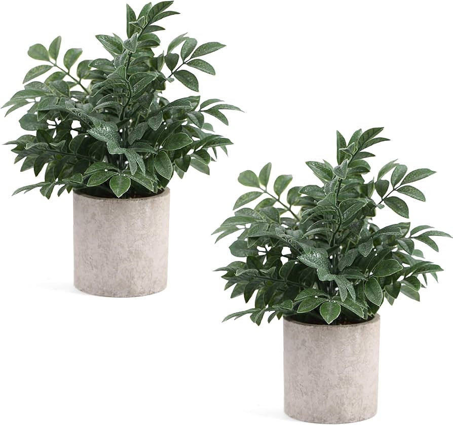 Coferset 2 Pack Small Fake Plants Herb Potted,Gray Green | Amazon (US)