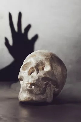 Joanna Buchanan Capiz Shell Skull | Anthropologie (US)